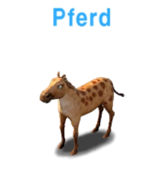 Pferd             